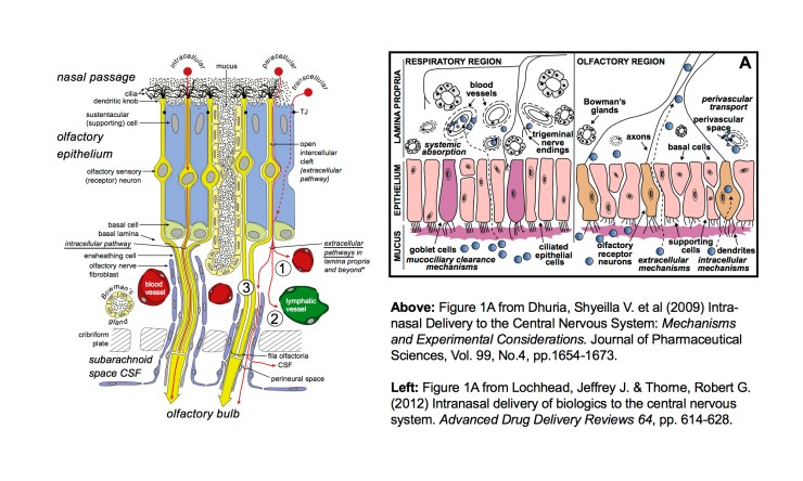 comparison_figures1A_05Jun17