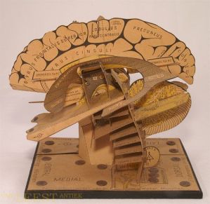 8b52017eaed311663f4f0d38d0cc36de