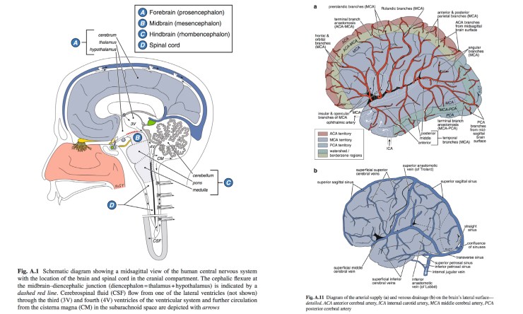 Thorne_images1_06Jul17