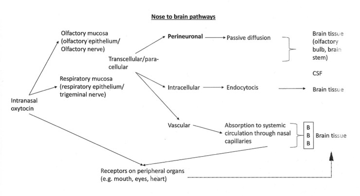 workshop1_activity_flowchart_10Nov17