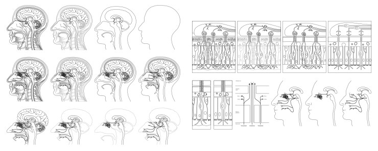 workshop1_activity_input_images_10Nov17