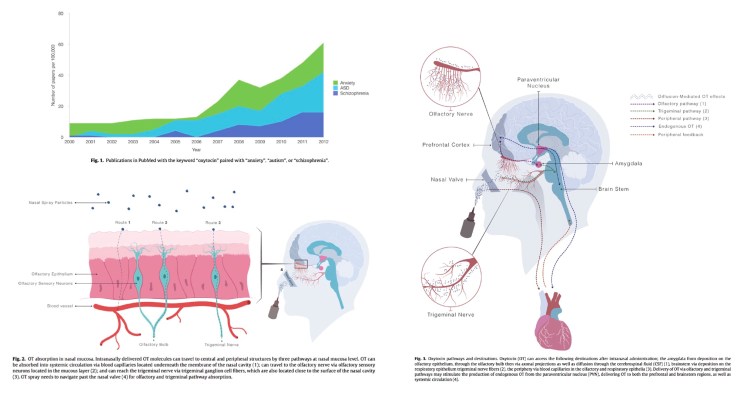workshop1_stage2_image6_11Nov17