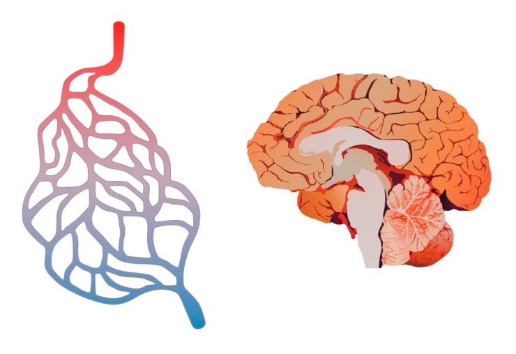 workshop2_image2_11Nov17