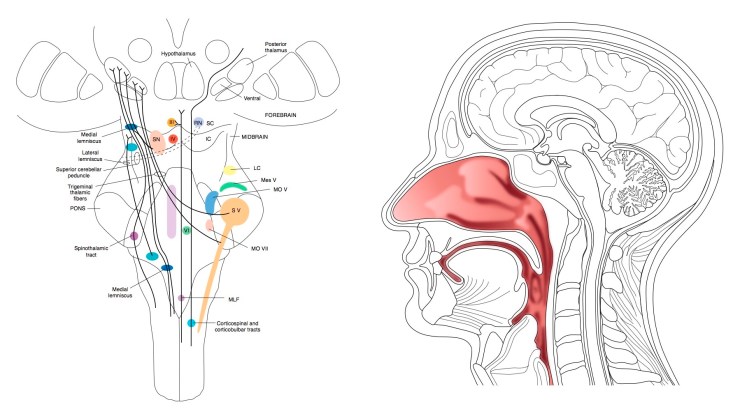workshop2_image3_11Nov17