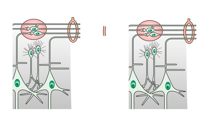 diagram_extra_bits1_11Sep17