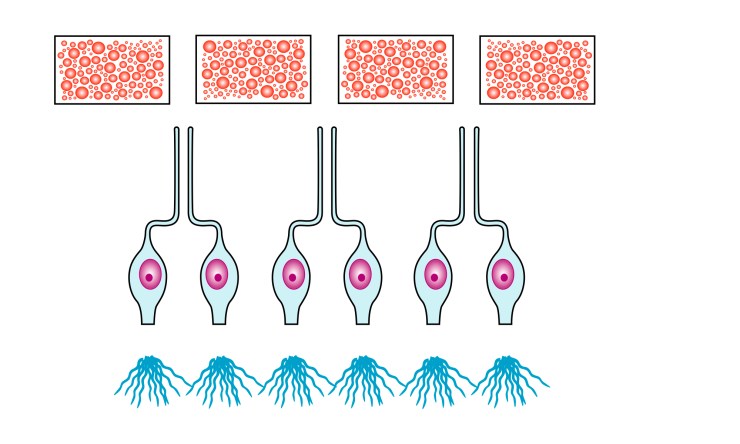 diagram_extra_bits2_11Sep17