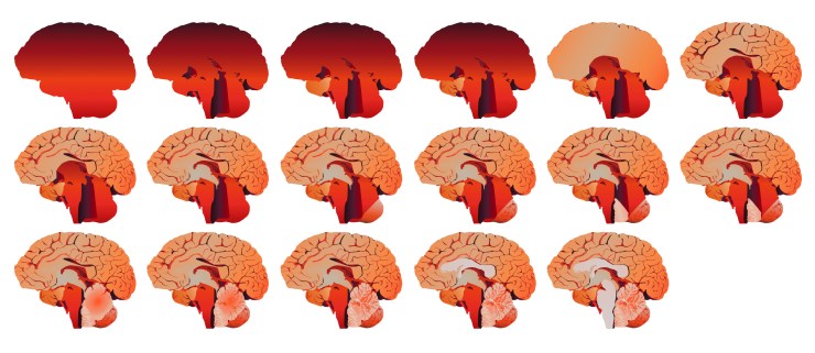 sequential_brain-31Aug17