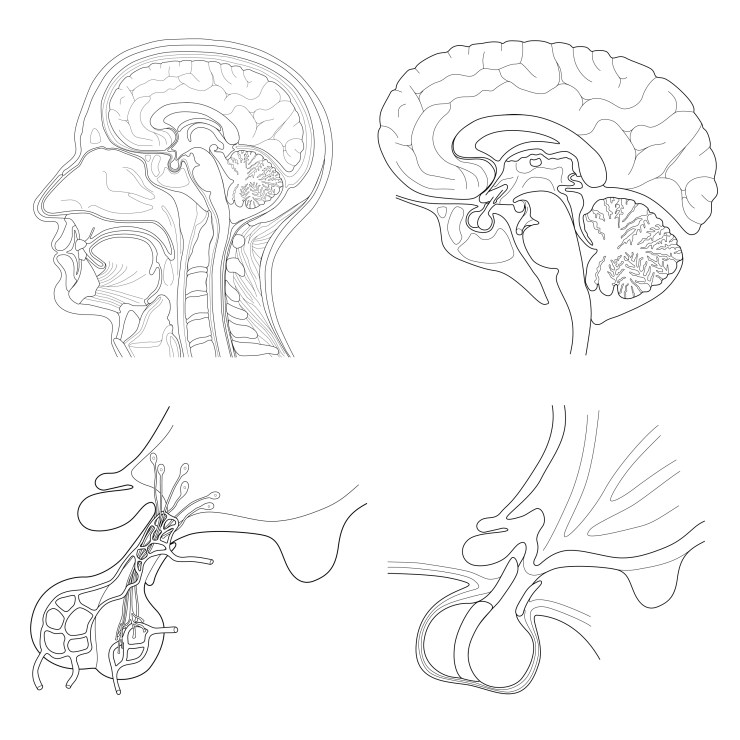 blog20_scale_images_02Oct17