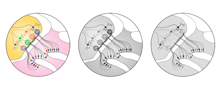 blog21_image1_09Oct17