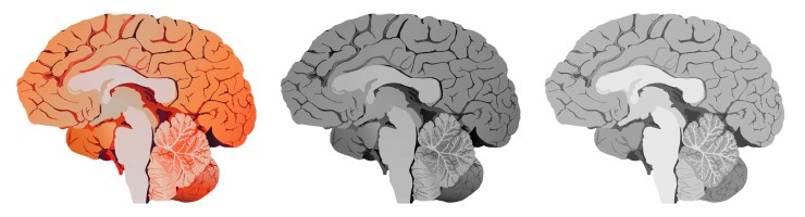 blog21_image3_09Oct17