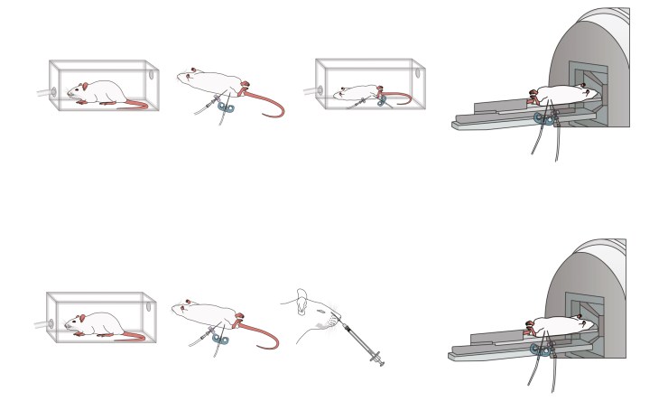 figure1_blog_image_19Feb18