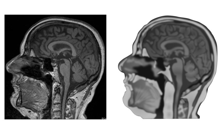 figure1_image_15Apr18