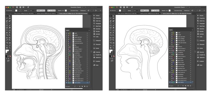 illustrator_image1_08May18