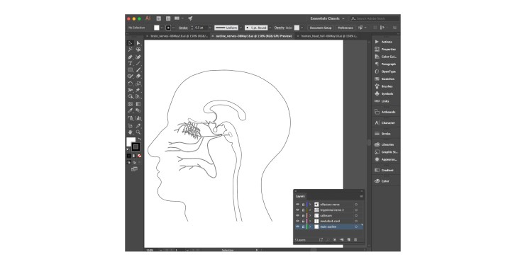 illustrator_image2_08May18