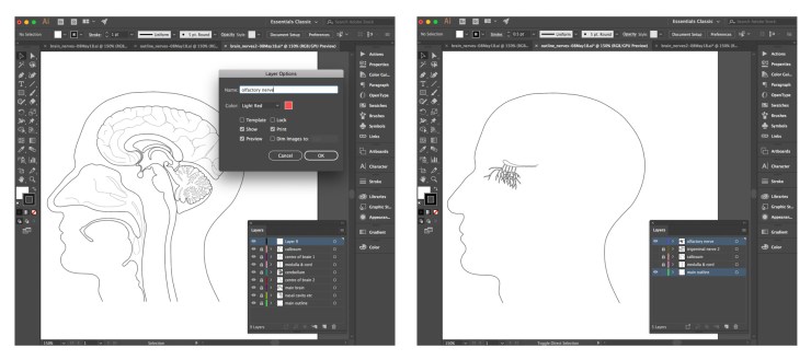 illustrator_image3_08May18