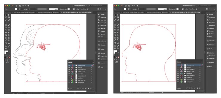 illustrator_image4_08May18
