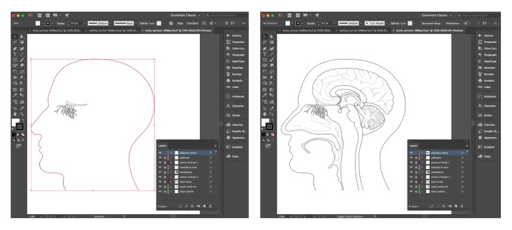illustrator_image5_08May18