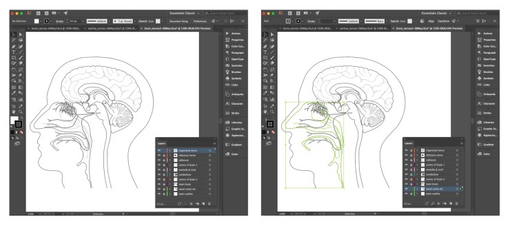 illustrator_image6_08May18