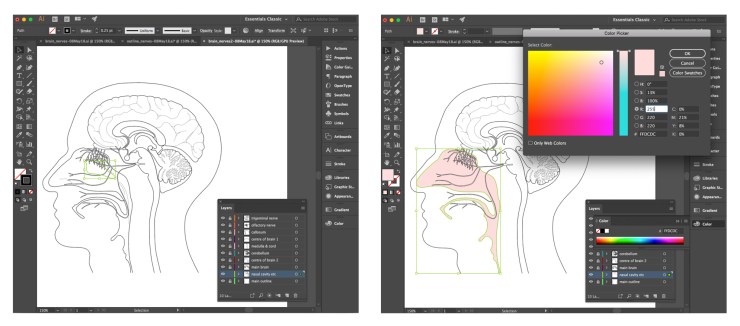 illustrator_image7_08May18