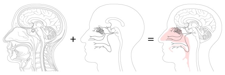 illustrator_image8_08May18