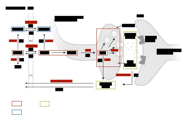 dopamine_figureA_key_image_26Jul18