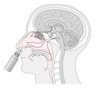 head_nasal_inhaler_image_08Jul18