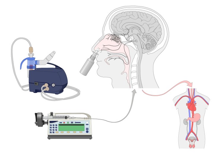 oxytocin_initial figure_image_08Jul18