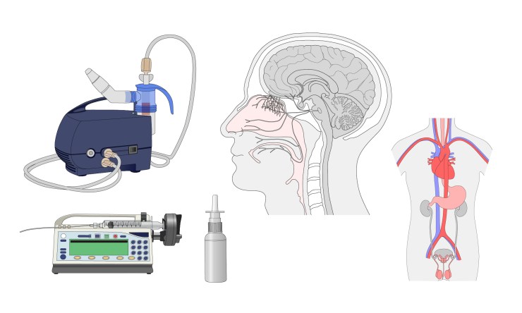oxytocin_visual_elements_header_image_08Jul18