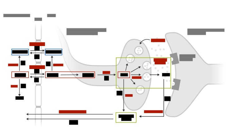 dopamine_figure_header_image_21Sep18