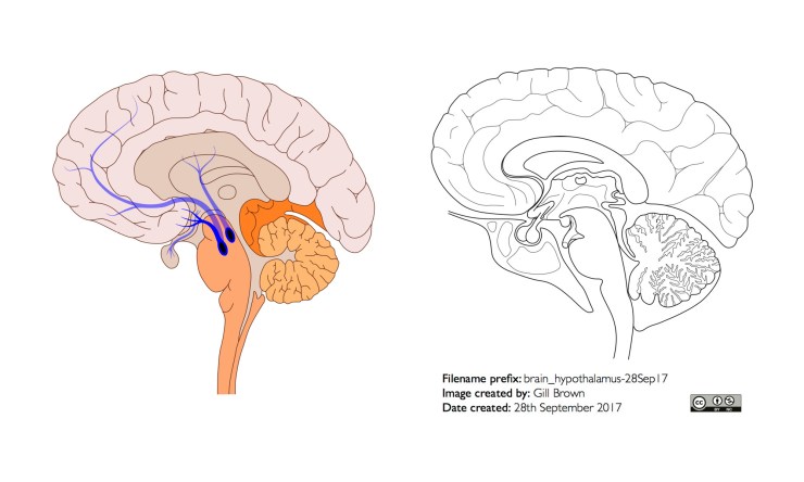 blogpost_image1_24Nov18