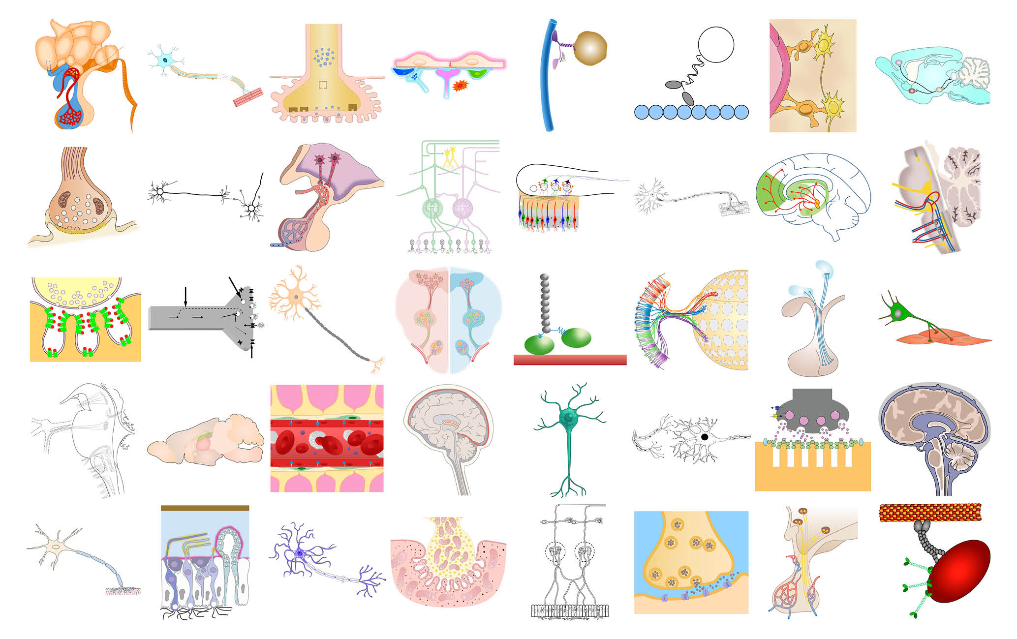 neurographical_instagram_image-25Jun20